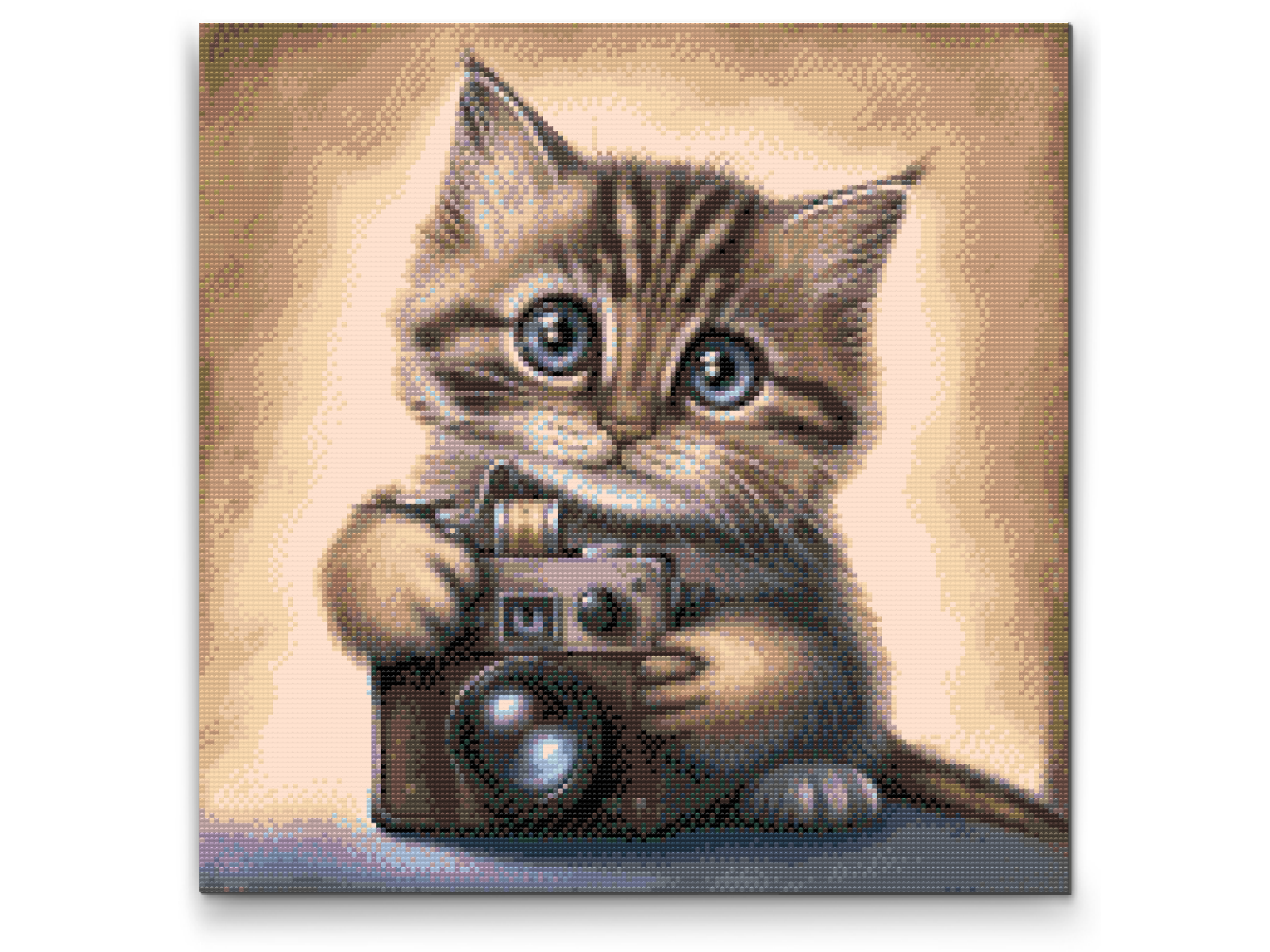 Diamantové malování - Kitten with a Camera